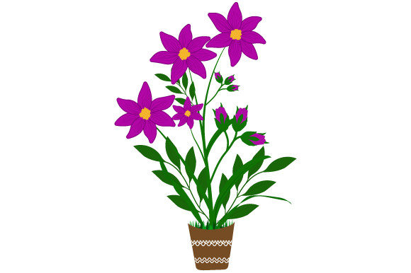 Discover the Beauty of Jasmine Flower Illustration