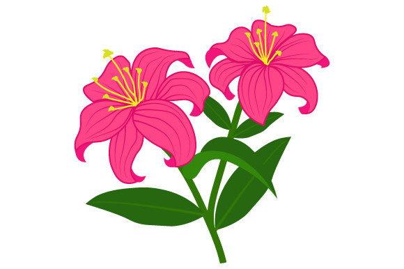 Pink Jasmine Flower Illustration: A Versatile and Elegant Design Choice